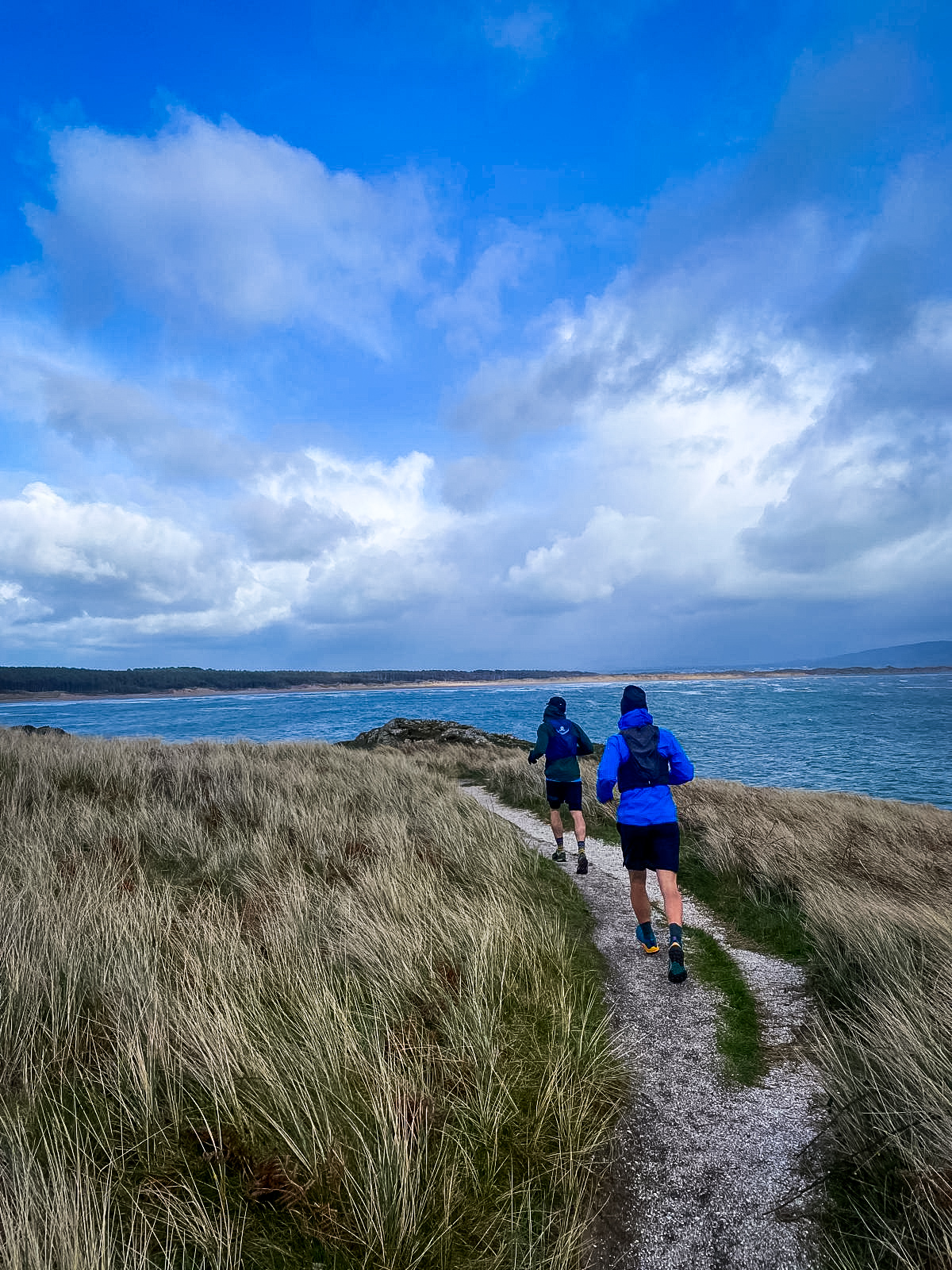 Coastal path through marram grass, Llanddwyn